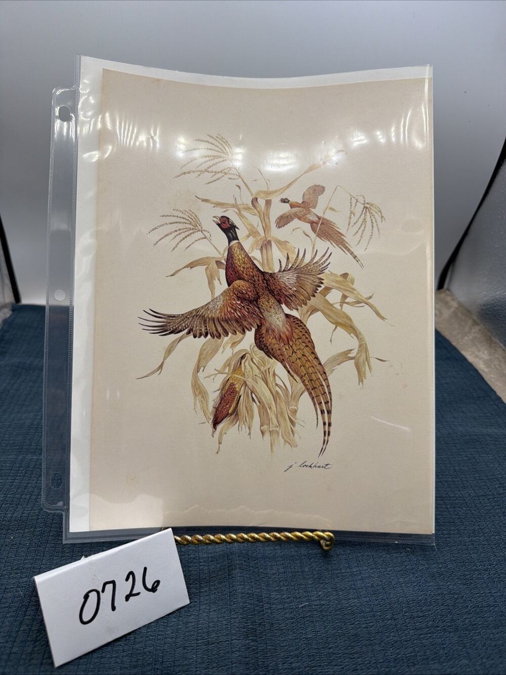 Original Vintage James Lockhart Pheasants Wildlife Print Realism Art Signed